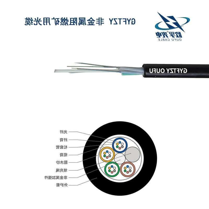 圣方济各堂区GYFTZY光缆